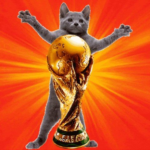 Nous aimons les GIF - Coupe du Monde 2022